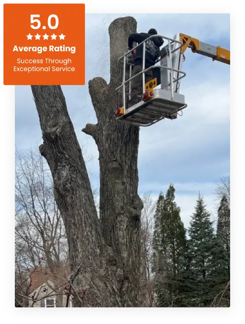 Commercial Tree Service